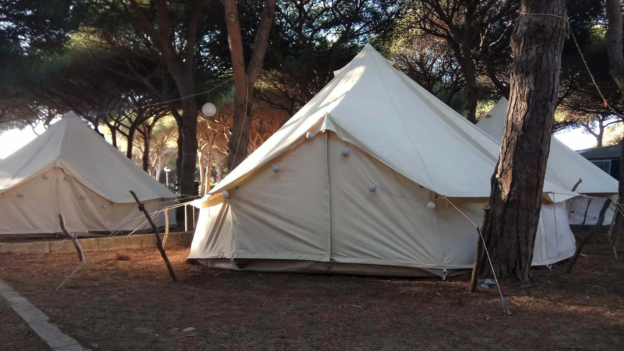 Kamping OH Tarifa Hotel Bagian luar foto